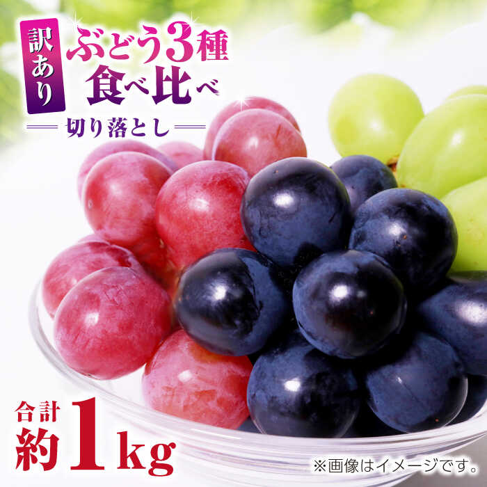 【ふるさと納税】【先行予約】訳あり ぶどう3種 食べ比べ 切り落とし 計約1kg  【合同会社 社方園】[ZBZ009] ブドウ 葡萄 おすすめ 国産 熊本県 山鹿 果物 くだもの フルーツ 人気 ランキング ブランド キャンペーン 特産品 種類 産地 九州 食品 季節 評価 口コミ 送料無料