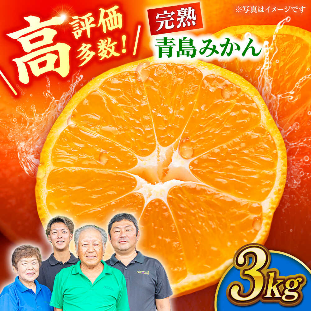 楽天市場】【ふるさと納税】【2026年2月下旬から発送】せとか