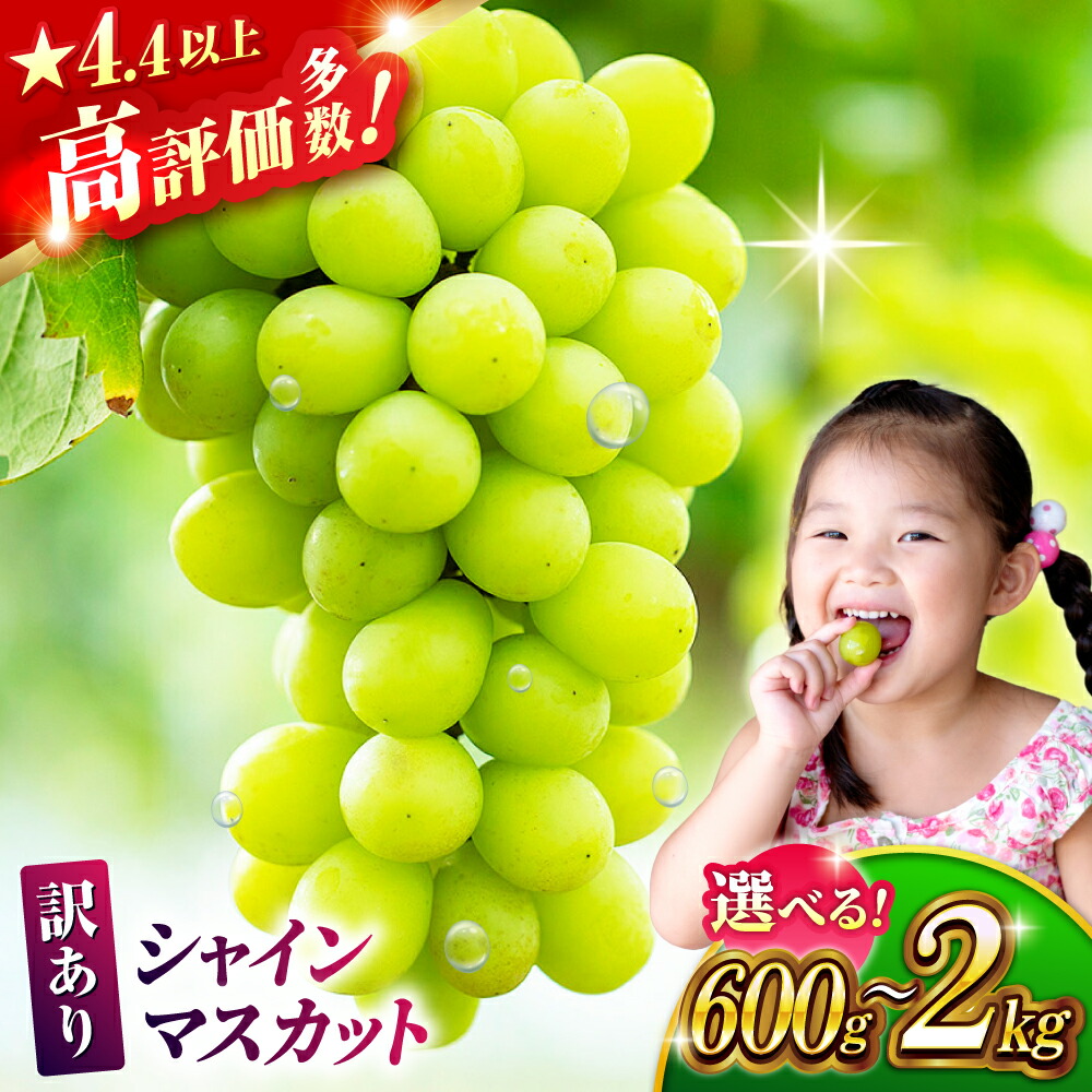 【ふるさと納税】【先行予約】【数量限定】【訳あり】容量選べる！シャインマスカット（約600g~2kg）【合同会社 社方園】[ZBZ027] ブドウ 葡萄 おすすめ 国産 熊本県 山鹿 果物 くだもの フルーツ 人気 ランキング ブランド キャンペーン 特産品 甘い 果汁 九州 送料無料