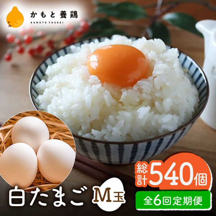 【ふるさと納税】【全6回定期便】白たまご M玉 90個（85個＋5個割れ保証）【農事組合法人 鹿本養鶏組合】[ZCA007] 鶏卵 玉子 たまごかけご飯
