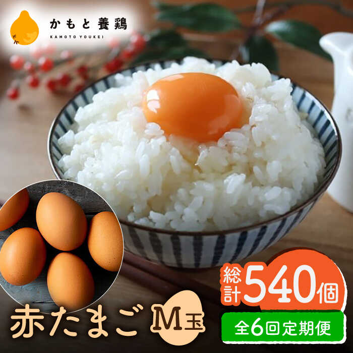 【ふるさと納税】【全6回定期便】赤たまご M玉 90個（85個＋5個割れ保証）【農事組合法人 鹿本養鶏組合】[ZCA015] 鶏卵 玉子 たまごかけご飯