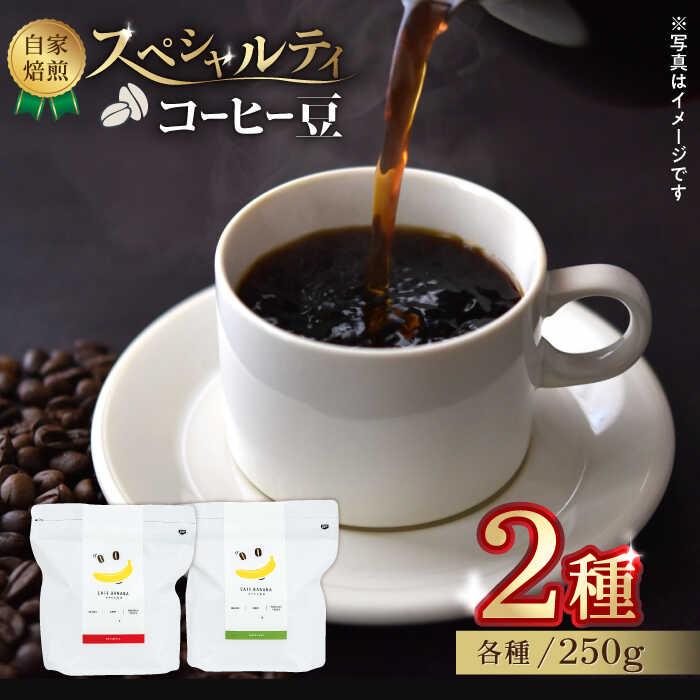 【ふるさと納税】【豆のまま】自家焙煎 スペシャルティコーヒー 豆 （ 250g × 2種 ）約40杯分【かきやま果実】[ZCJ015] コーヒー coffee ドリンク 飲み物 飲料 国産 熊本県