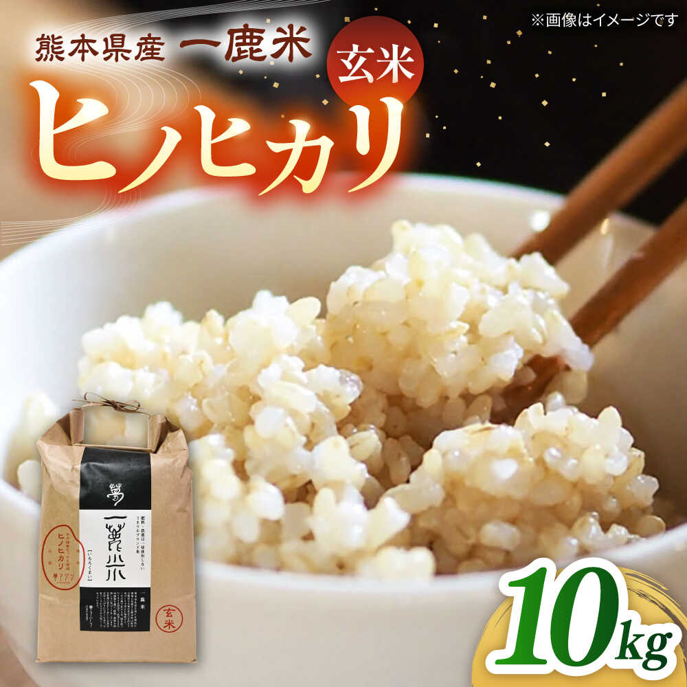 【ふるさと納税】【天日塩を使用】一鹿米 ヒノヒカリ 米 玄米 10kg 【株式会社 夢アグリ】[ZCL030]｜熊本県山鹿市