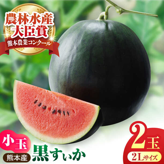【ふるさと納税】【先行予約】【数量限定】黒小玉スイカ 2玉 2Lサイズ 【株式会社 前田ファーム】[ZCM009] 旬 果物 くだもの フルーツ スイカ 西瓜 小玉 人気 季節物 新鮮 産地直送 甘い 黒い 糖度 おすすめ フレッシュ 地域 特産 期間限定 評判 種類 サイズ 熊本県 山鹿