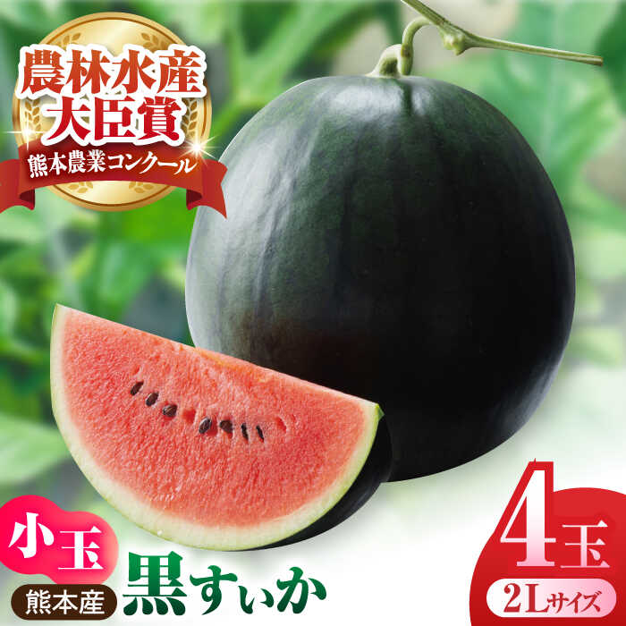 すいか 訳あり サイズS（約4キロ）スイカ 西瓜 熊本産 1玉入り