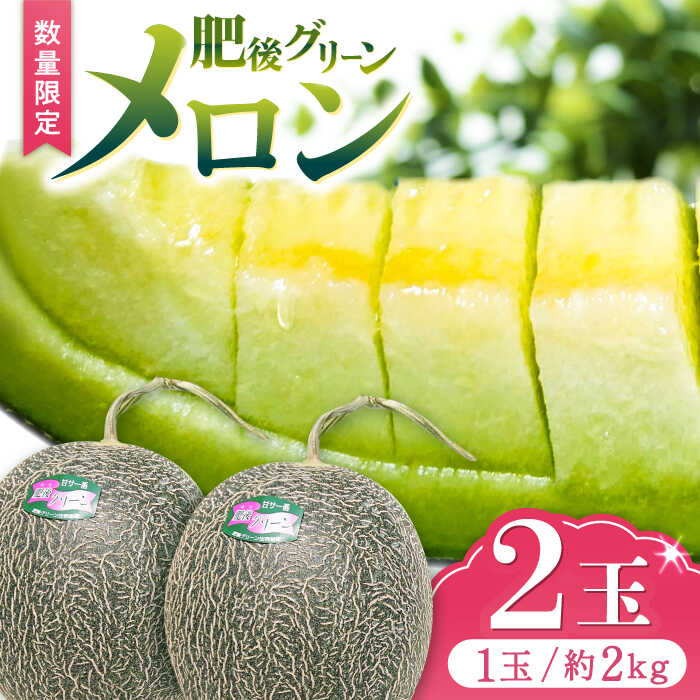 【ふるさと納税】【数量限定】【先行予約】肥後グリーン メロン 2玉 メロン くだもの ブランド 人気 鮮度 高級 種類 甘さ 甘み フレッシュ ジューシー 甘み 大きい 産地直送 糖度 おすすめ 高評価 リピーター レビュー 季節物 新鮮 熊本 山鹿市【合同会社 福福堂】[ZCN003]