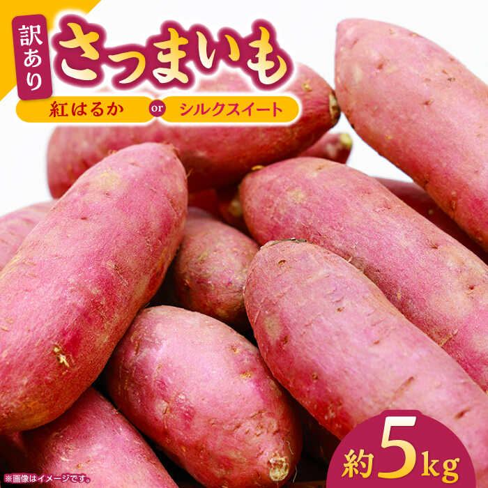 【ふるさと納税】訳あり さつまいも 紅はるか or シルクスイート 蜜芋 5kg イモ さつま芋 サツマ芋 薩摩芋 サイズ 大 小 5キロ 詰め合わせ 人気 名産 お芋 ねっとり しっとり 甘い 甘藷 唐芋 保存 種類 産地 品種 量 国産 産地直送【合同会社 福福堂】[ZCN013]