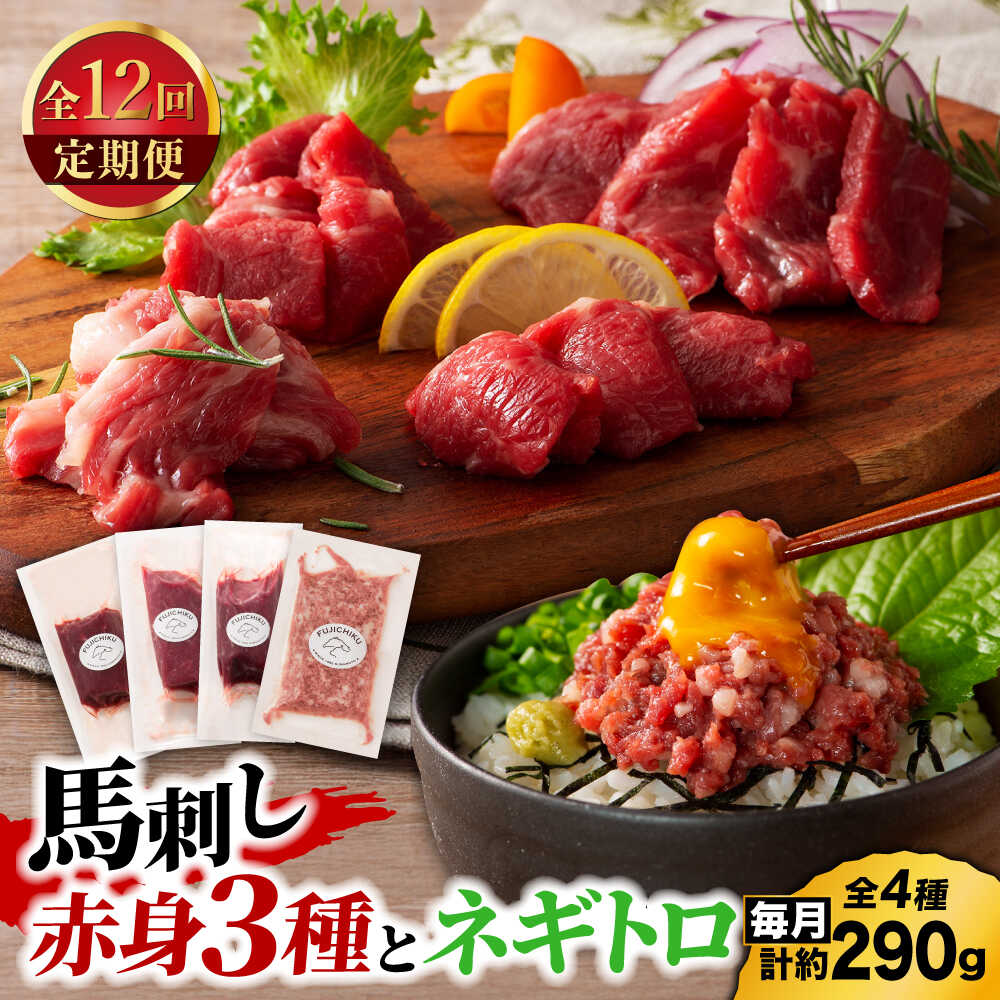 【ふるさと納税】【全12回定期便】【熊本特産】赤身馬刺し3種とネギトロの詰め合わせ 3891【有限会社スイートサプライなかぞの】[ZDT175]｜熊本県山鹿市
