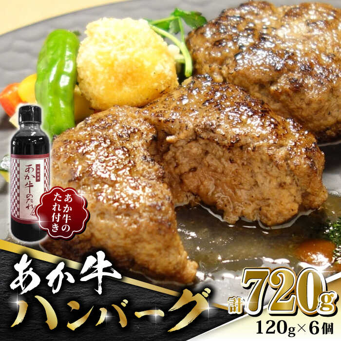 【ふるさと納税】あか牛 100％ハンバーグ セット 120g&times;6個【有限会社 三協畜産】[ZEB003]｜熊本県山鹿市