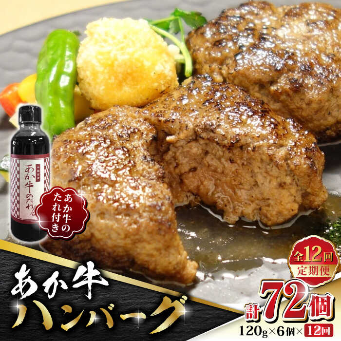 【ふるさと納税】【全12回定期便】あか牛 100％ハンバーグ セット 120g&times;6個【有限会社 三協畜産】[ZEB083]｜熊本県山鹿市