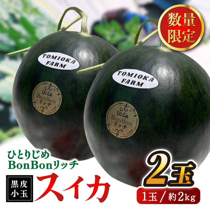 ひとり　B品大玉20キロ 1件目 楽天市場】【ふるさと納税】【先行予約】ひとりじめBonBonリッチ〜黒皮