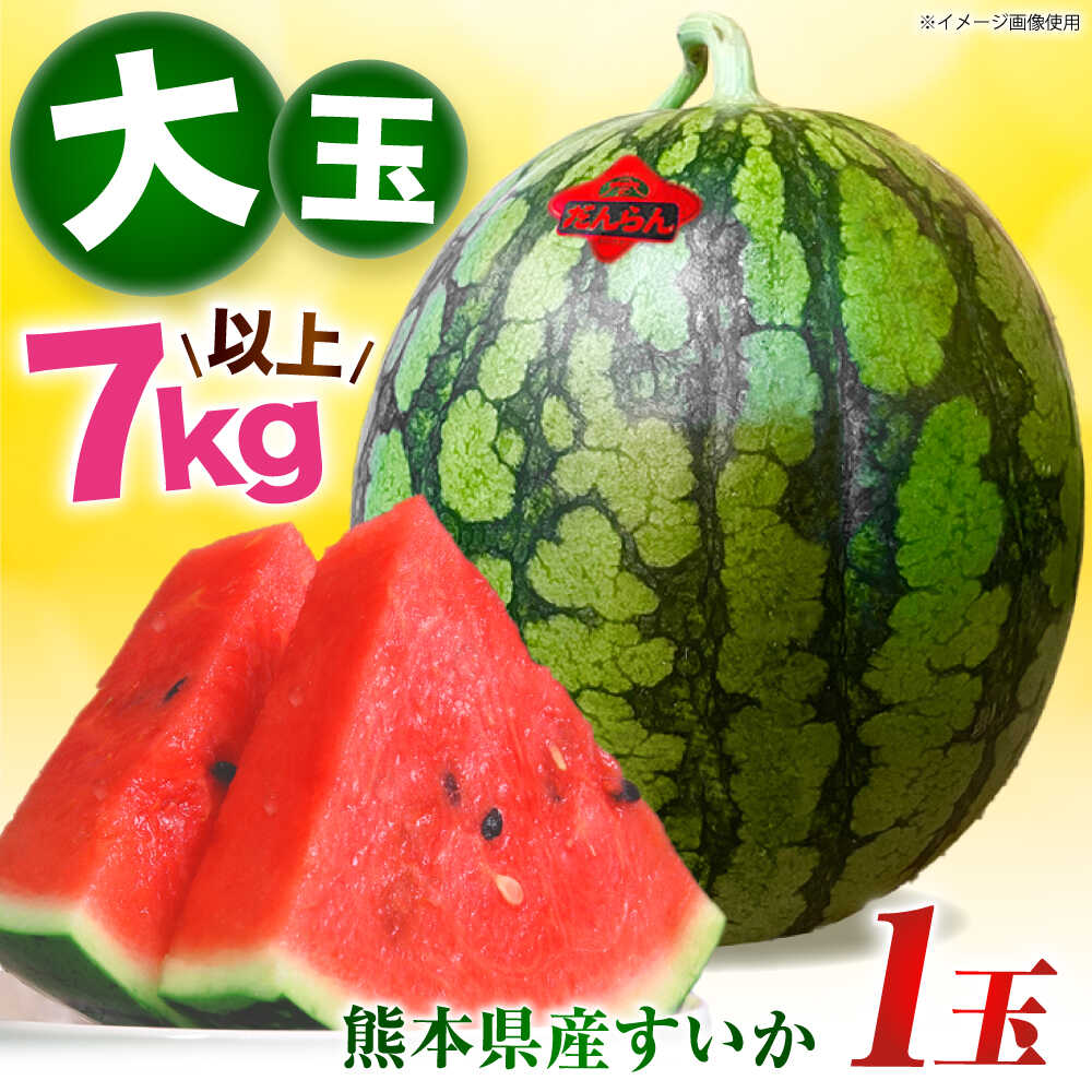 【ふるさと納税】【先行予約】 大玉スイカ 約7kg以上（1玉） 【とみおか農園】[ZEM004]