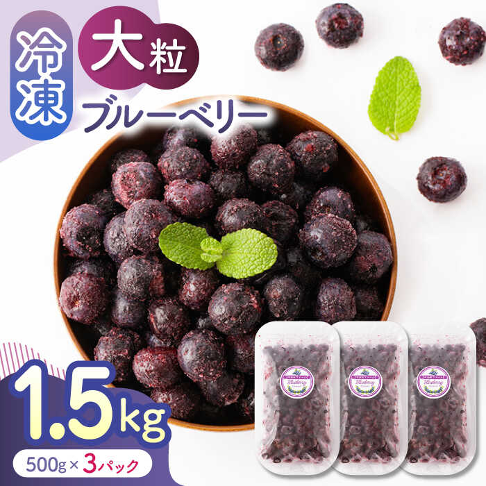 【ふるさと納税】【先行予約】大粒 冷凍ブルーベリー 約1500g（約500g×3pc） 【すみれファーム】[ZEP008]