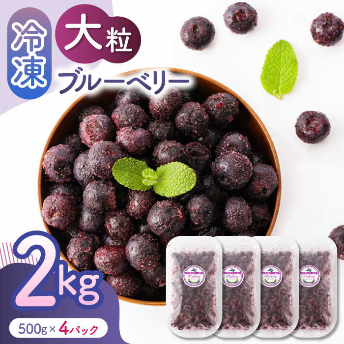 【ふるさと納税】【先行予約】大粒 冷凍ブルーベリー 約2000g（約500g×4pc）【すみれファーム】[ZEP009]