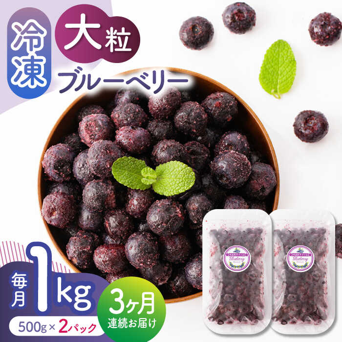 【ふるさと納税】【先行予約】【3回定期便】大粒 冷凍ブルーベリー 約1000g（約500g×2pc）【すみれファーム】[ZEP010]