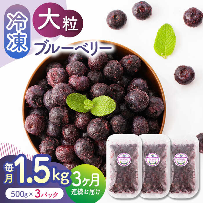【ふるさと納税】【先行予約】【3回定期便】大粒 冷凍ブルーベリー 約1500g（約500g×3pc）【すみれファーム】[ZEP013]