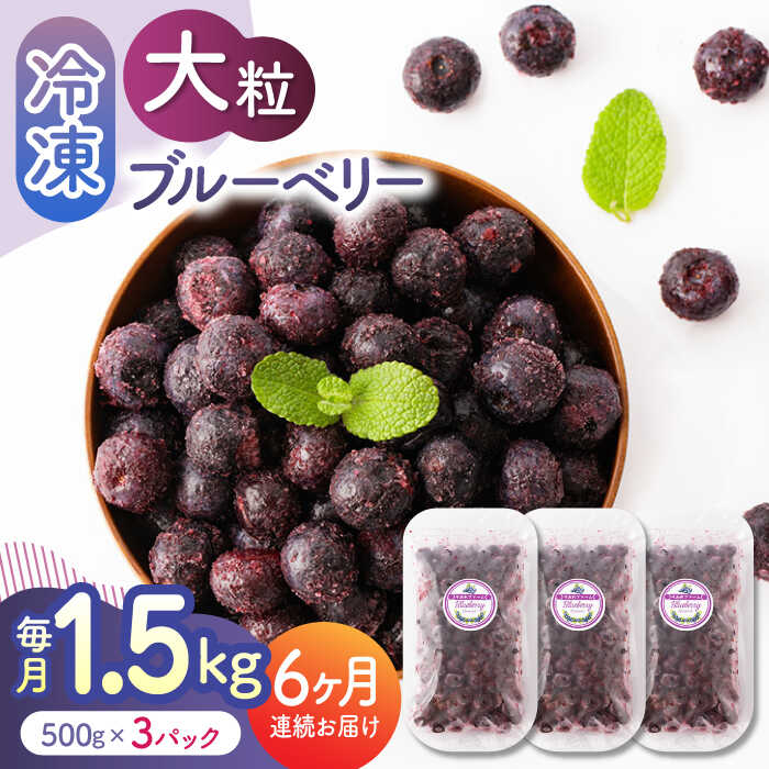【ふるさと納税】【先行予約】【6回定期便】大粒 冷凍ブルーベリー 約1500g（約500g×3pc） 【すみれファーム】[ZEP014]