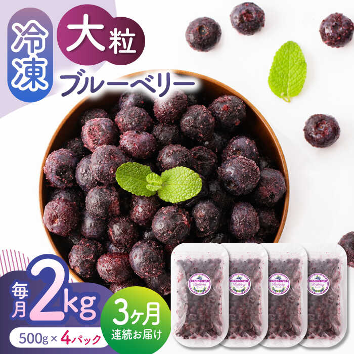 【ふるさと納税】【先行予約】【3回定期便】大粒 冷凍ブルーベリー 約2000g（約500g×4pc） 【すみれファーム】[ZEP016]