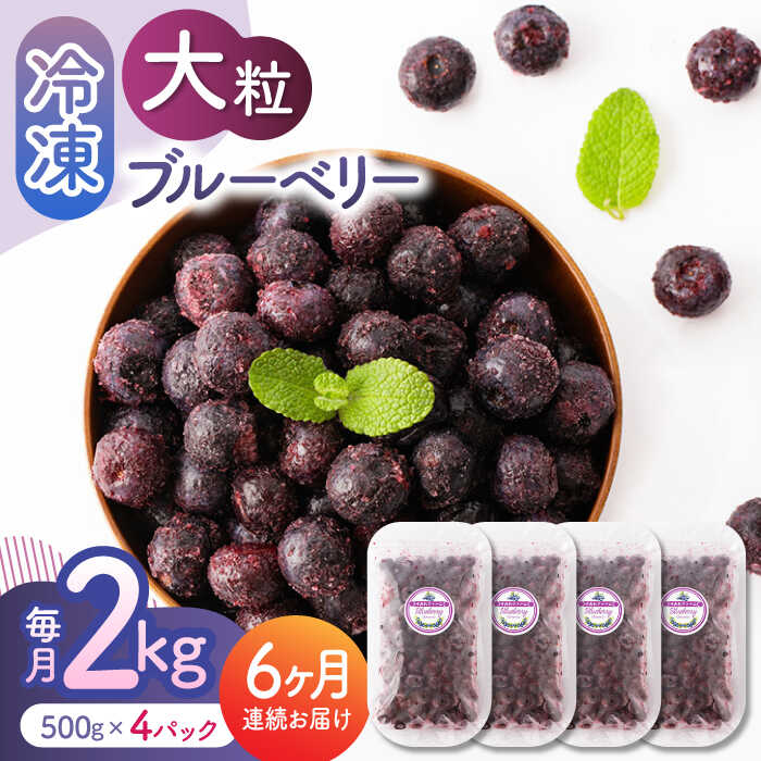 【ふるさと納税】【先行予約】【6回定期便】大粒 冷凍ブルーベリー 約2000g（約500g×4pc） 【すみれファーム】[ZEP017]