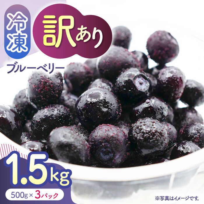 【ふるさと納税】【先行予約】【訳あり】 冷凍ブルーベリー 小粒 約1.5kg（約500g×3pc） 【すみれファーム】[ZEP046]