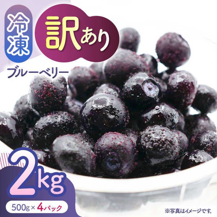 【ふるさと納税】【先行予約】【訳あり】 冷凍ブルーベリー 小粒 約2kg（約500g×4pc） 【すみれファーム】[ZEP047]