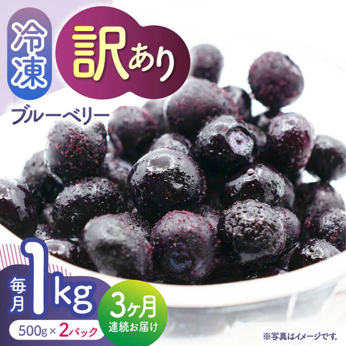 【ふるさと納税】【先行予約】【3回定期便】【訳あり】 冷凍ブルーベリー 小粒 約1kg（約500g×2pc） 【すみれファーム】[ZEP048]