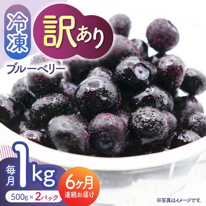 【ふるさと納税】【先行予約】【6回定期便】【訳あり】 冷凍ブルーベリー 小粒 約1kg（約500g×2pc） 【すみれファーム】[ZEP051]