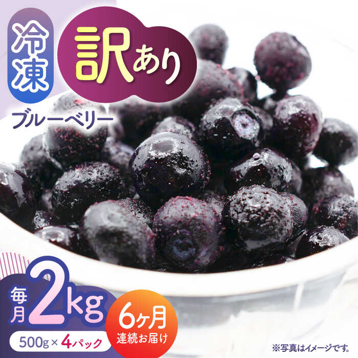 【ふるさと納税】【先行予約】【6回定期便】【訳あり】 冷凍ブルーベリー 小粒 約2kg（約500g×4pc） 【すみれファーム】[ZEP053]