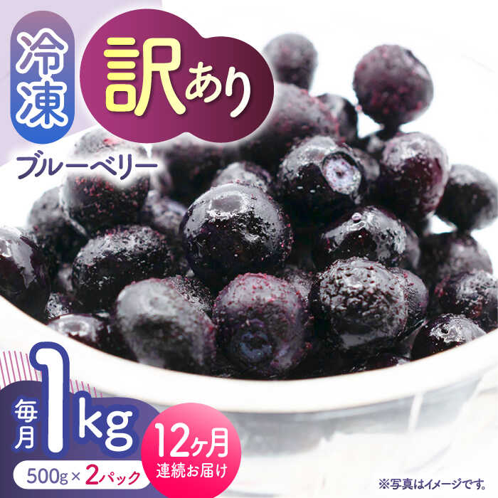 【ふるさと納税】【先行予約】【12回定期便】【訳あり】 冷凍ブルーベリー 小粒 約1kg（約500g×2pc） 【すみれファーム】[ZEP054]