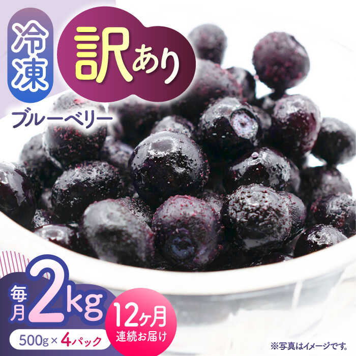 【ふるさと納税】【先行予約】【12回定期便】【訳あり】 冷凍ブルーベリー 小粒 約2kg（約500g×4pc） 【すみれファーム】[ZEP056]
