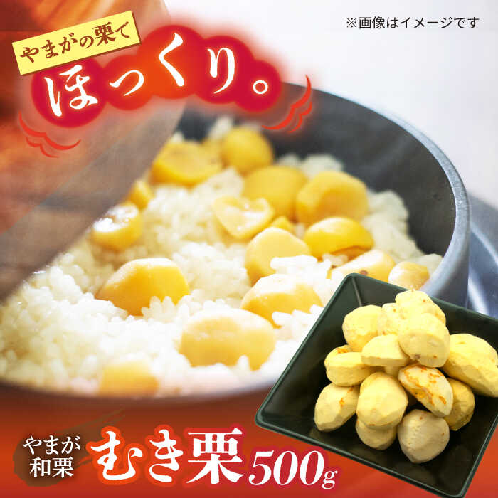 【ふるさと納税】【先行予約】 むき栗 約500ｇ（約250g×2pc） 【すみれファーム】[ZEP059]