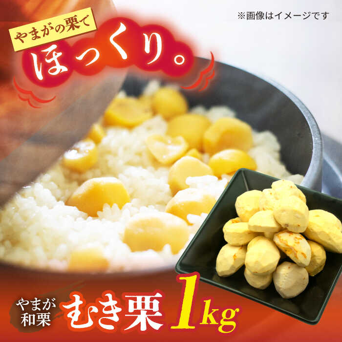 【ふるさと納税】【先行予約】 むき栗 約1kg（約250g×4pc） 【すみれファーム】[ZEP060]