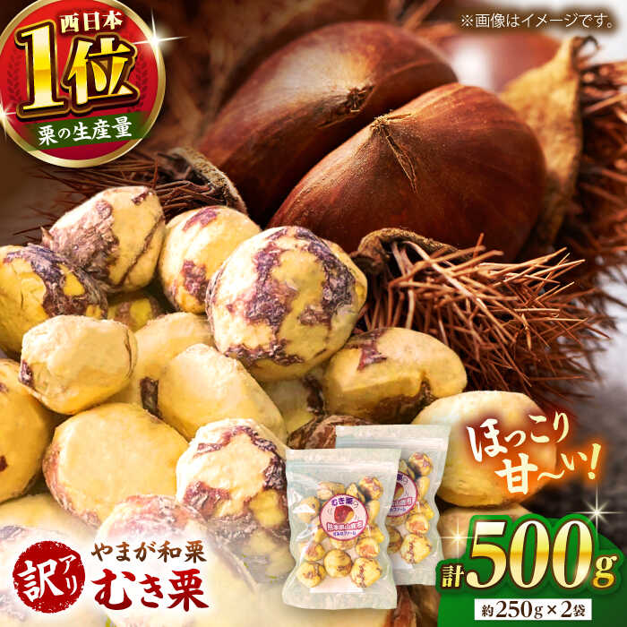 【ふるさと納税】【先行予約】【訳あり】 むき栗 約500ｇ（約250g×2袋） 【すみれファーム】[ZEP061]