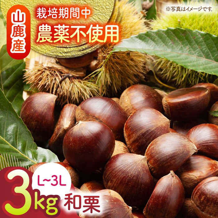 【ふるさと納税】【数量限定】【先行予約】 和栗 約3kg（約1kg×3袋） L～3L 【すみれファーム】[ZEP063]
