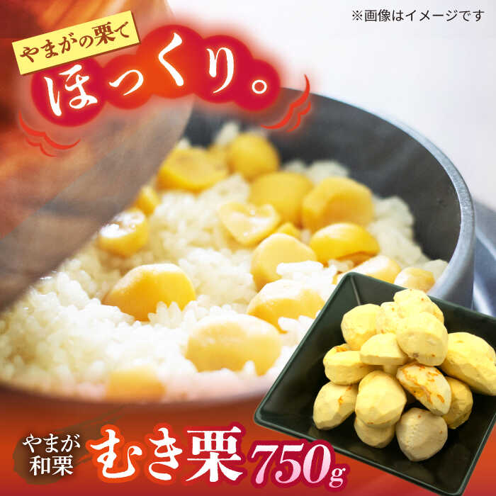 【ふるさと納税】【先行予約】 むき栗 約750ｇ（約250g×3pc） 【すみれファーム】[ZEP064]