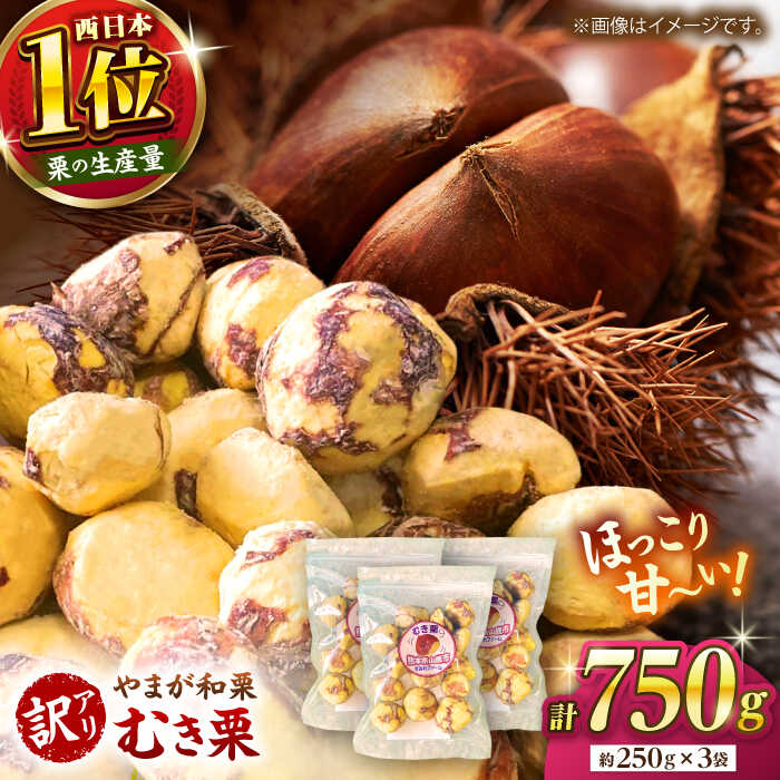 【ふるさと納税】【先行予約】 【訳あり】 むき栗 約750g（約250g×3袋） 【すみれファーム】[ZEP065]