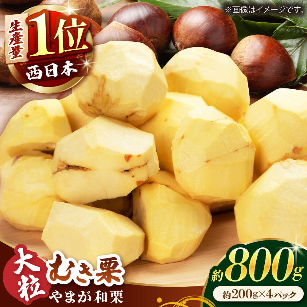 【ふるさと納税】【先行予約】【数量限定】やまが和栗 大粒むき栗 約800g（約200g×4pc）小分け【古川農園】[ZES001]