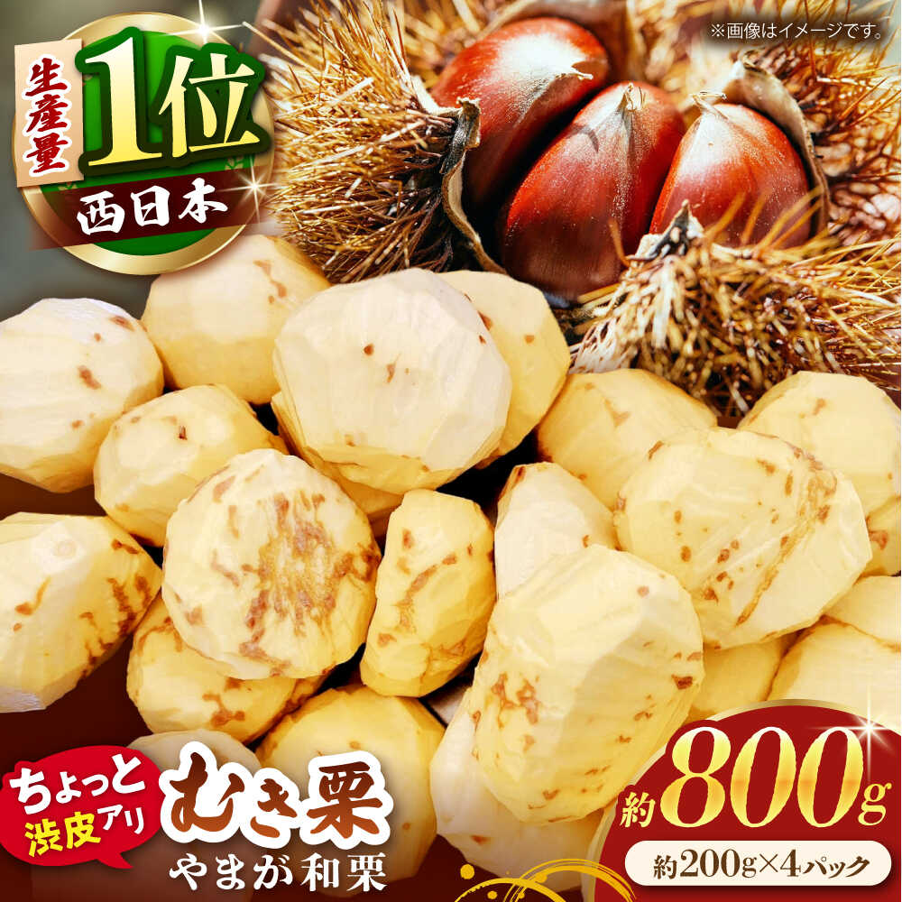 【ふるさと納税】【先行予約】 【風味豊か♪ちょっと渋皮つき】やまが和栗 大粒むき栗 渋皮つき 約800g（約200g×4pc）小分け【古川農園】[ZES002]