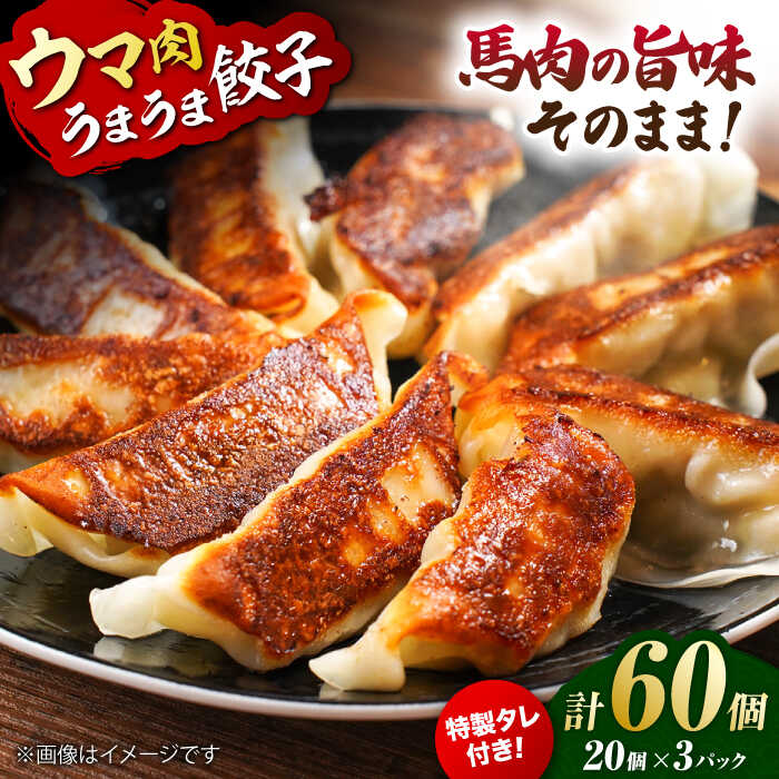 【ふるさと納税】新感覚！ウマ肉うまうま餃子（20個×3パック）【オルガニコ山鹿】[ZFH006] 馬肉 餃子 ぎょうざ ギョウザ セット 国産 味 たれ タレ 特製タレ 冷凍 九州 熊本県産 山鹿 おすすめ 人気 ランキング 贈答用 評判 レビュー 口コミ 事業者応援 特産品 送料無料