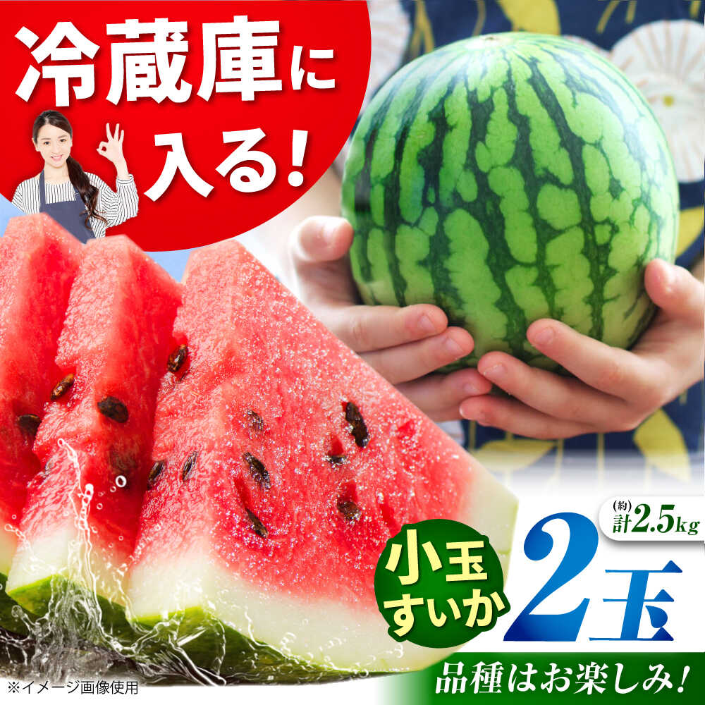 【ふるさと納税】【先行予約】【数量限定】小玉スイカ 3L以上 2玉入り 約2.5kg 【日本フルーツ株式会社】[ZFJ007]