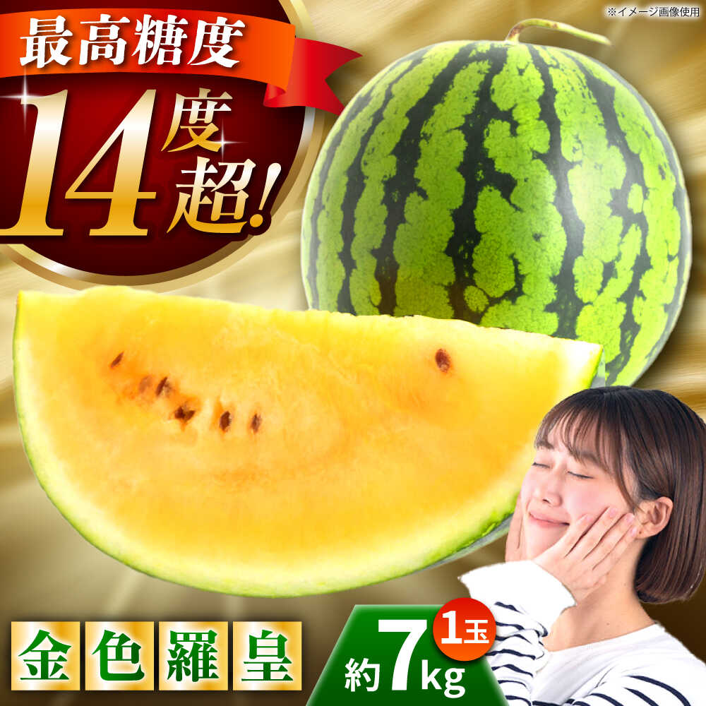 【ふるさと納税】【先行予約】【数量限定】金色羅皇 スイカ 2L以上 1玉 約7kg 【日本フルーツ株式会社】[ZFJ008]