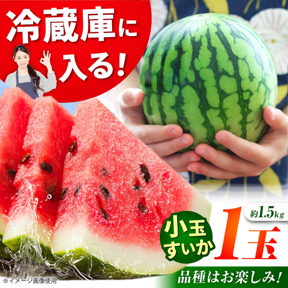 【ふるさと納税】【先行予約】【数量限定】小玉スイカ 3L以上　1玉入り 約1.5kg 【日本フルーツ株式会社】[ZFJ011]
