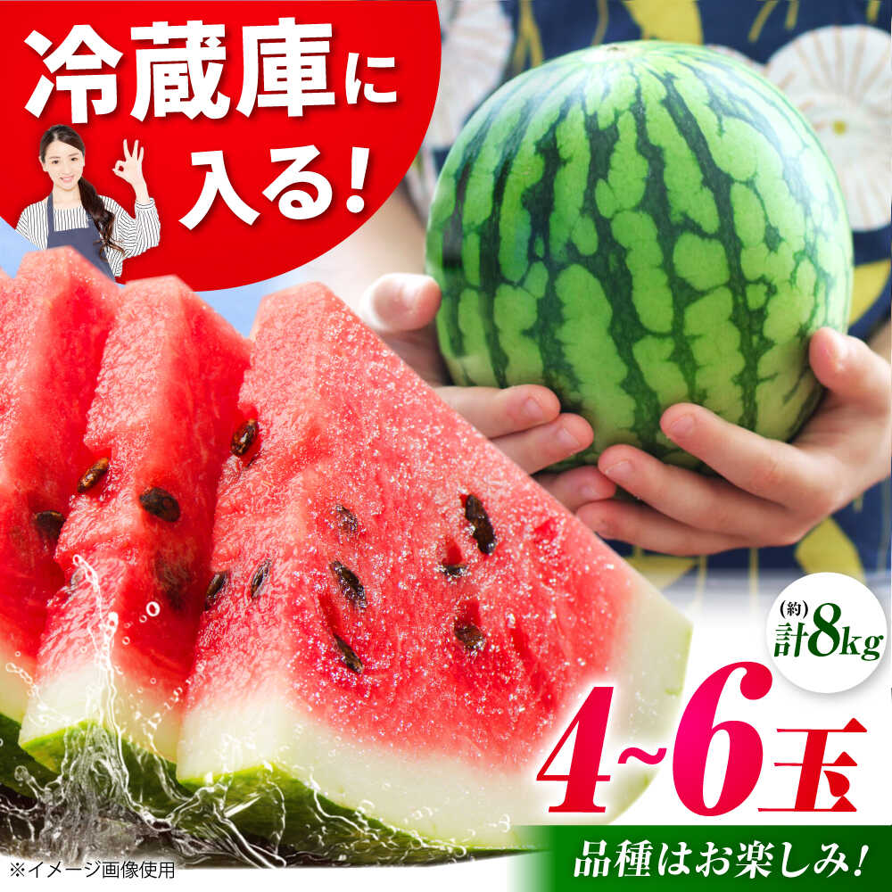 【ふるさと納税】【先行予約】【数量限定】小玉スイカ 3L～M　4～6玉入り 約8kg 【日本フルーツ株式会社】[ZFJ012]