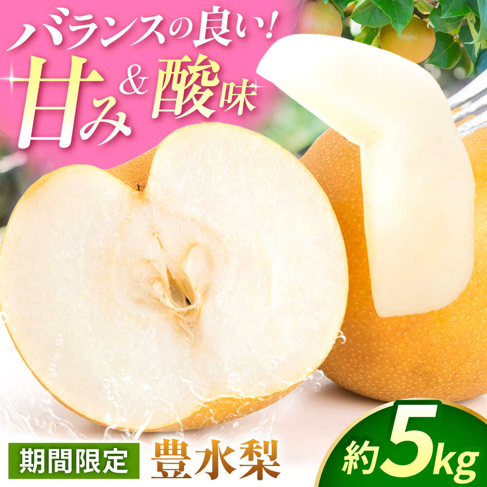 【ふるさと納税】【先行予約】【数量限定】豊水梨　約5kg 【日本フルーツ株式会社】[ZFJ013]