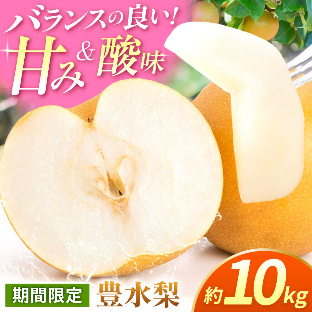 【ふるさと納税】【先行予約】【数量限定】豊水梨　約10kg 【日本フルーツ株式会社】[ZFJ014]