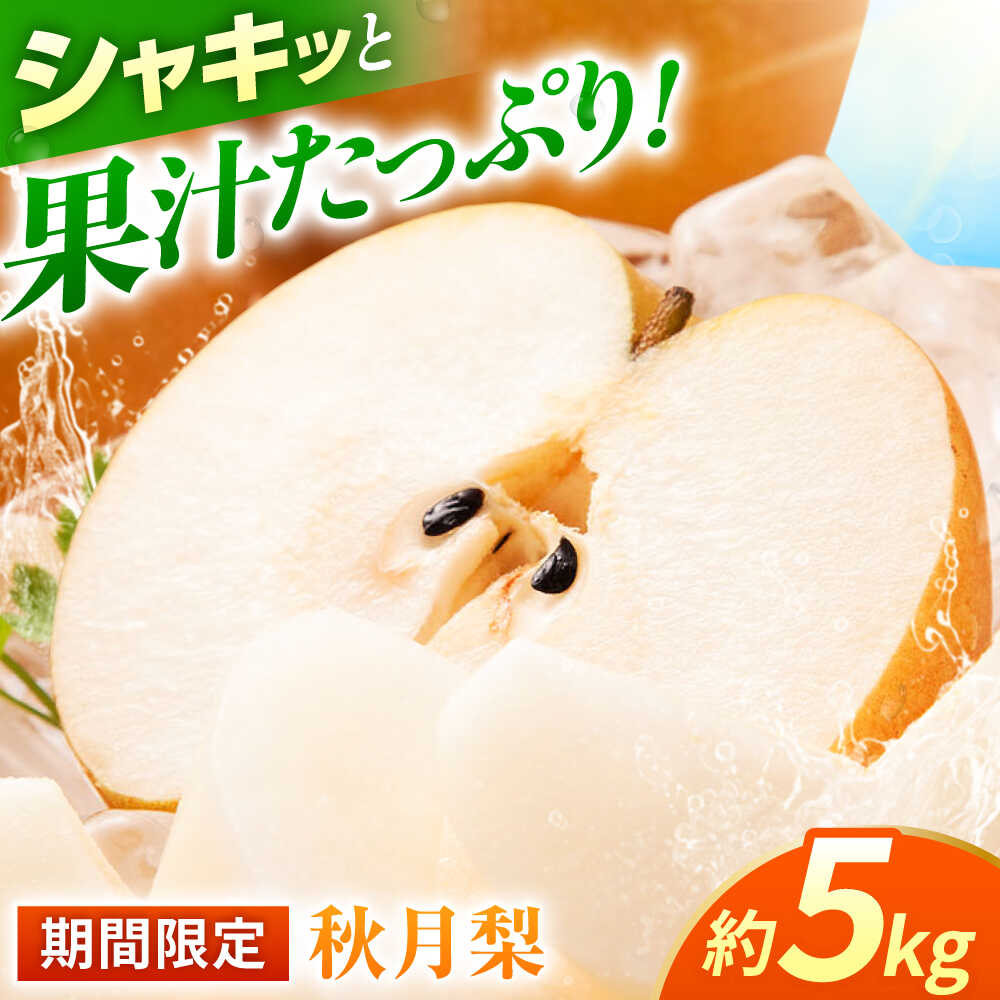 【ふるさと納税】【先行予約】【数量限定】秋月梨　約5kg 【日本フルーツ株式会社】[ZFJ015]