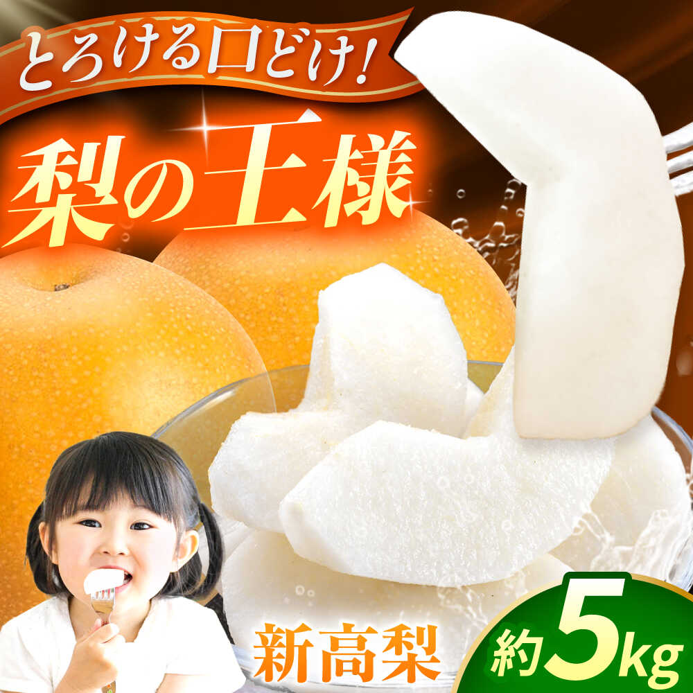 【ふるさと納税】【先行予約】【数量限定】新高梨　約5kg 【日本フルーツ株式会社】[ZFJ017]