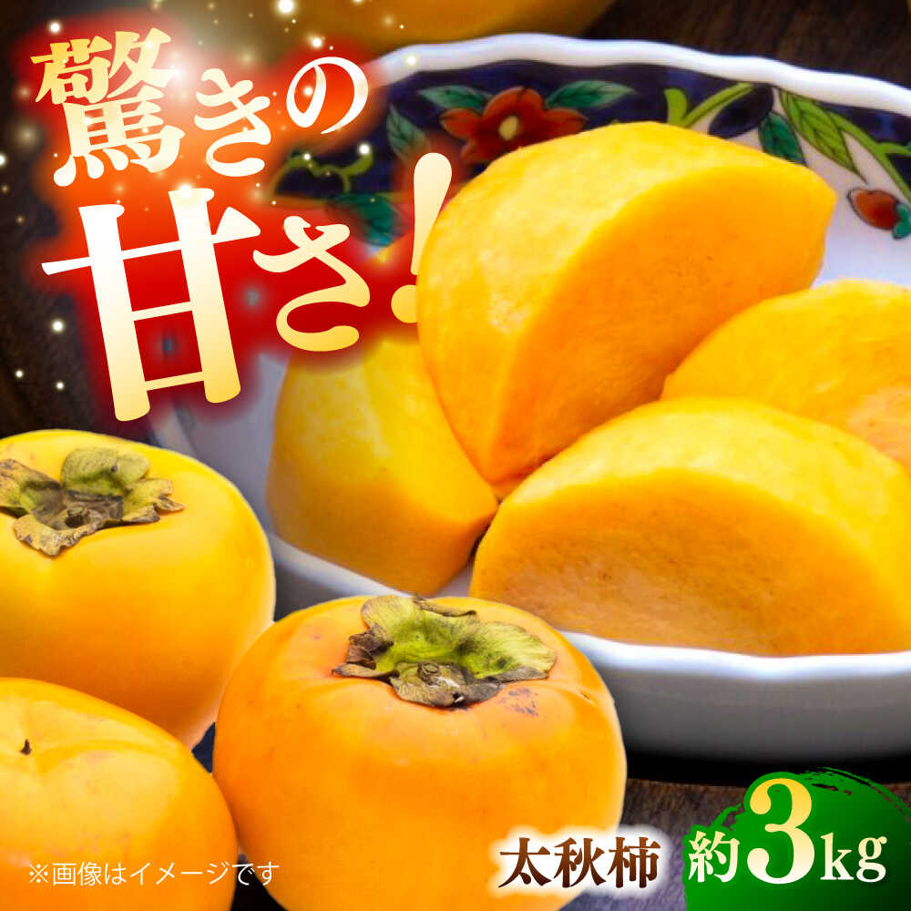 【ふるさと納税】【先行予約】【数量限定】太秋柿 約3kg 【日本フルーツ株式会社】[ZFJ020]