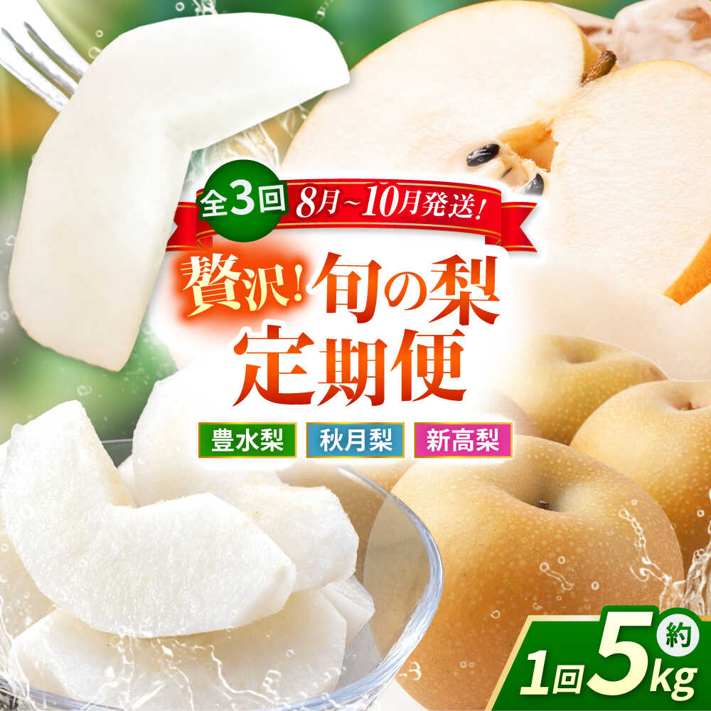 【ふるさと納税】【先行予約】【数量限定】【3回定期便】 梨 約5kg 計約15kg（豊水・秋月・新高）【日本フルーツ株式会社】[ZFJ024]