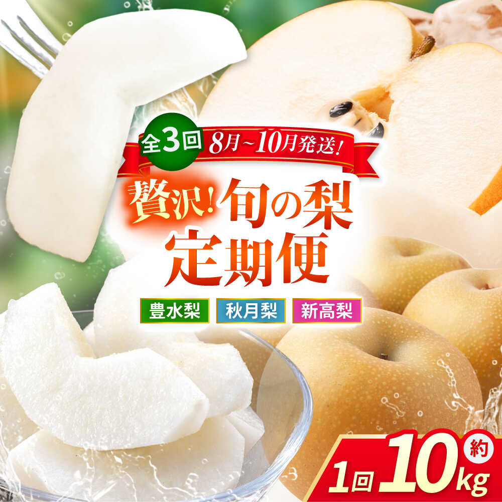 【ふるさと納税】【先行予約】【数量限定】【3回定期便】 梨 約10kg 計約30kg（豊水・秋月・新高）【日本フルーツ株式会社】[ZFJ025]